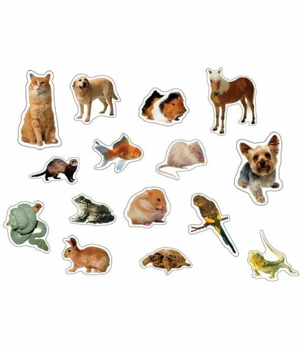 Pets Photographic Shape Stickers - 90PCS - Carson Dellosa