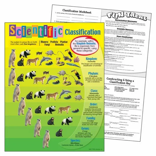 Scientific Classification - Wall Chart