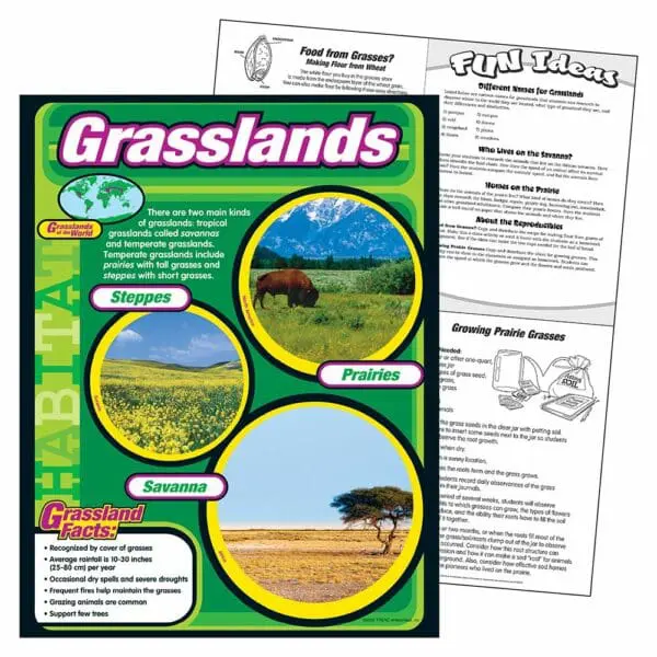 Grasslands - Wall Chart