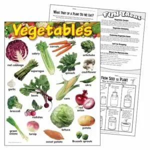 Vegetables - Wall Chart