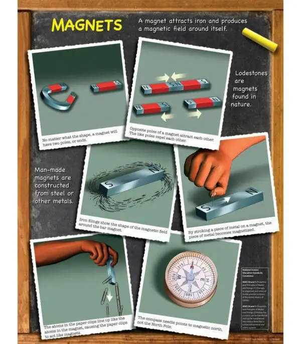 Magnets - Wall Chart - +/-43x56cm