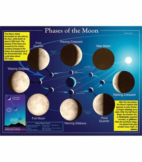 Phases of the Moon - Wall Chart +/-43x56cm