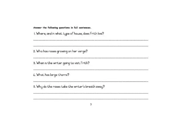 Comprehension Workbook 3 - GR 3-4 - Image 3