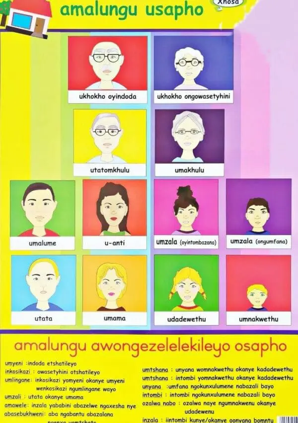 Amalungu Usapho - My Family Members - Wall Chart - Laminated