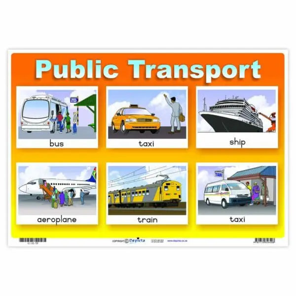 Transport - Public - Wall Chart - Laminated