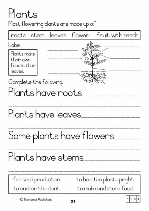 Workbook - 3 - Developing Life Skills - Image 3