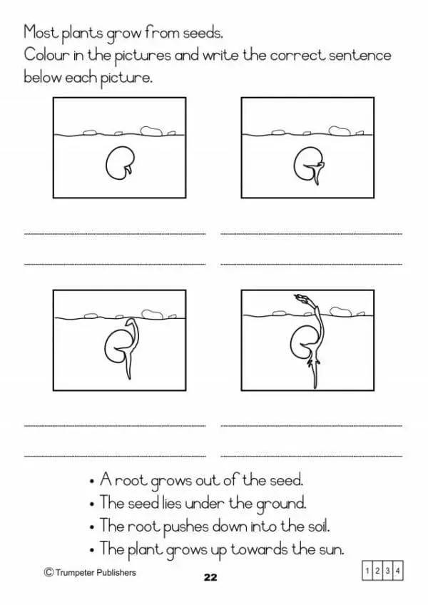 Workbook - 3 - Developing Life Skills - Image 2