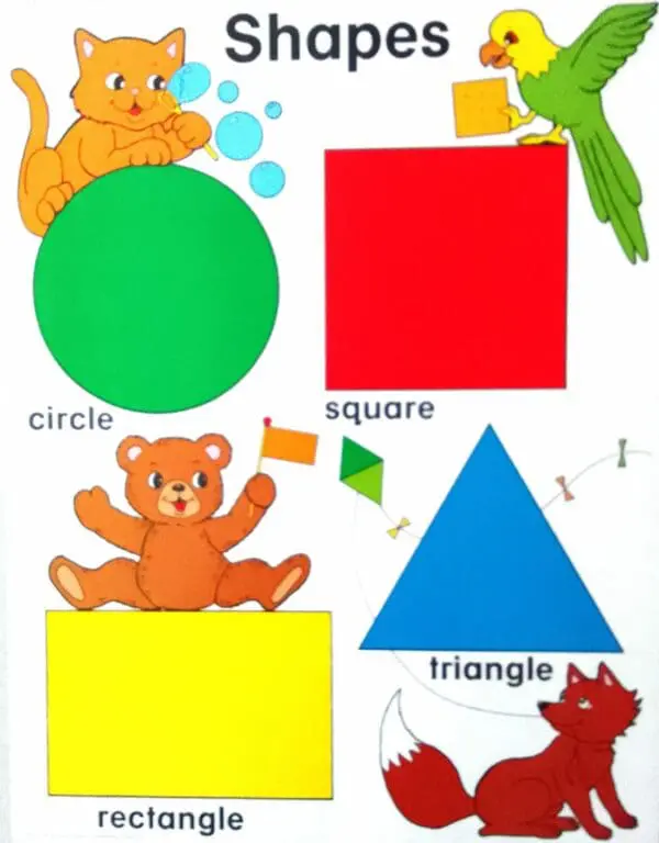 Shapes - Wall Chart