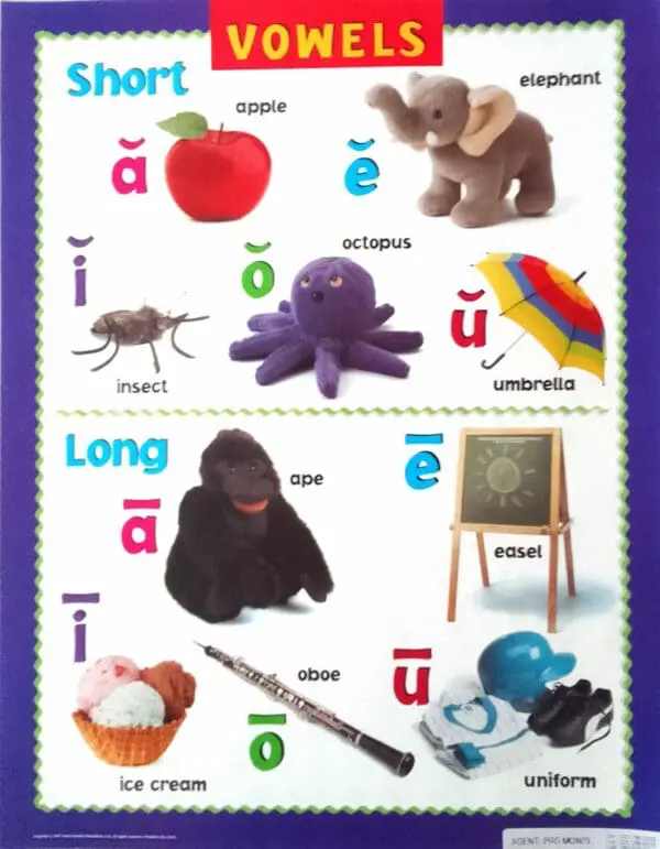 Vowels - Wall Chart