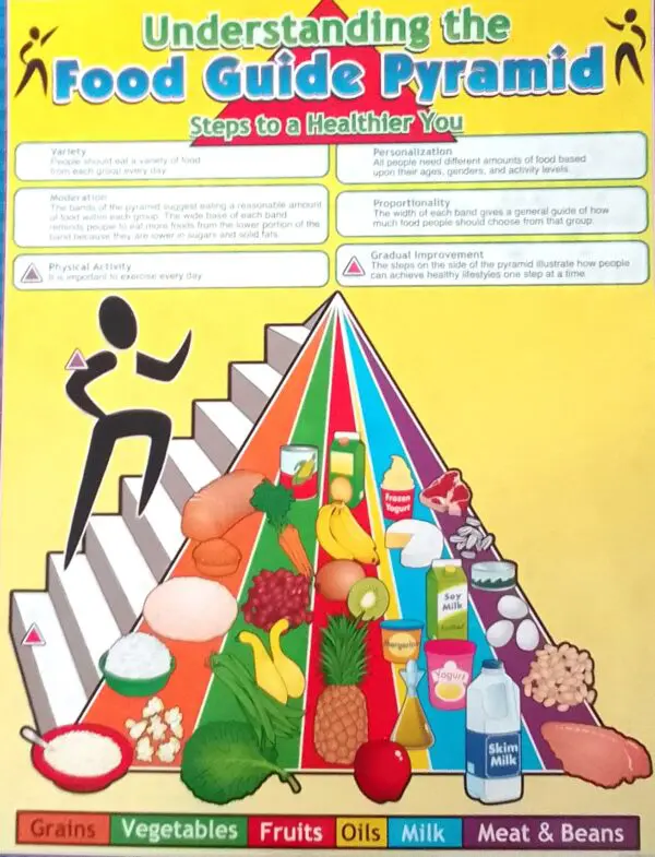 Food Guide Pyramid - Wall Chart