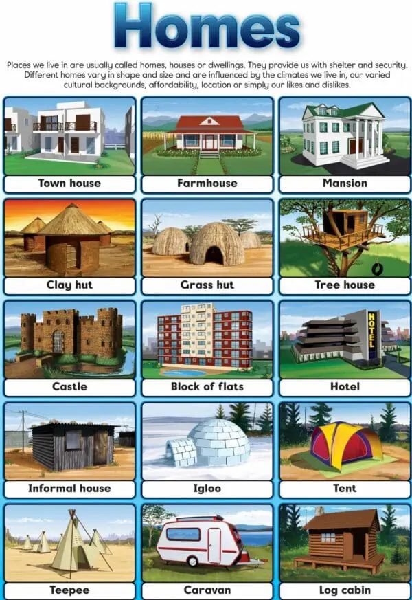 Homes - Wall Chart - Laminated 76cm x 52cm