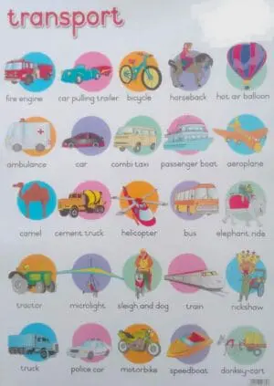 Transport - Wall Chart - Laminated (+-480X680mm)