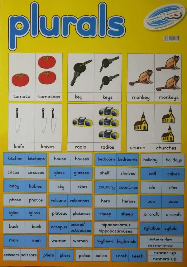 Plurals - Wall Chart - Laminated (+- 480X680mm)