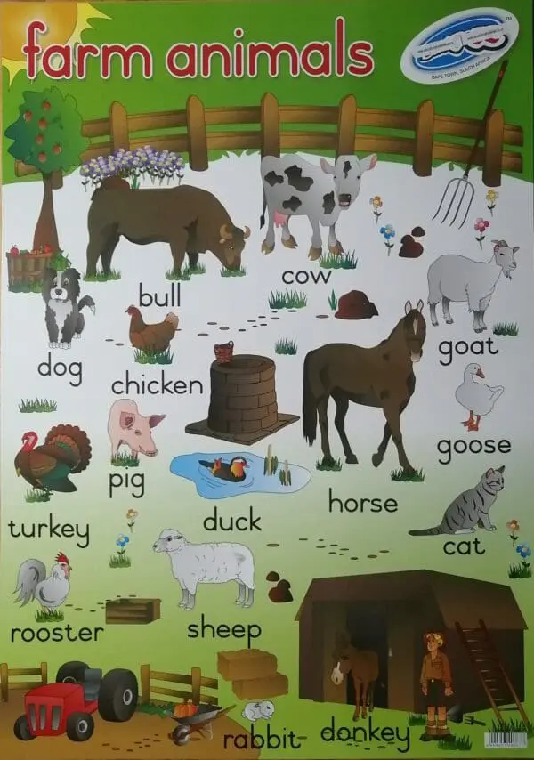Farm Animals - Wall Chart - Laminated (+- 480X680mm)