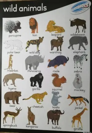 Wild Animals - Wall Chart - Laminated (+- 480X680mm)