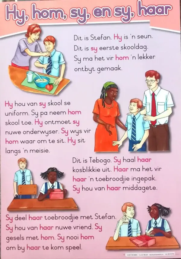 Hy, hom, sy, en sy, haar - Afrikaans - Wall Chart - A1 Laminated