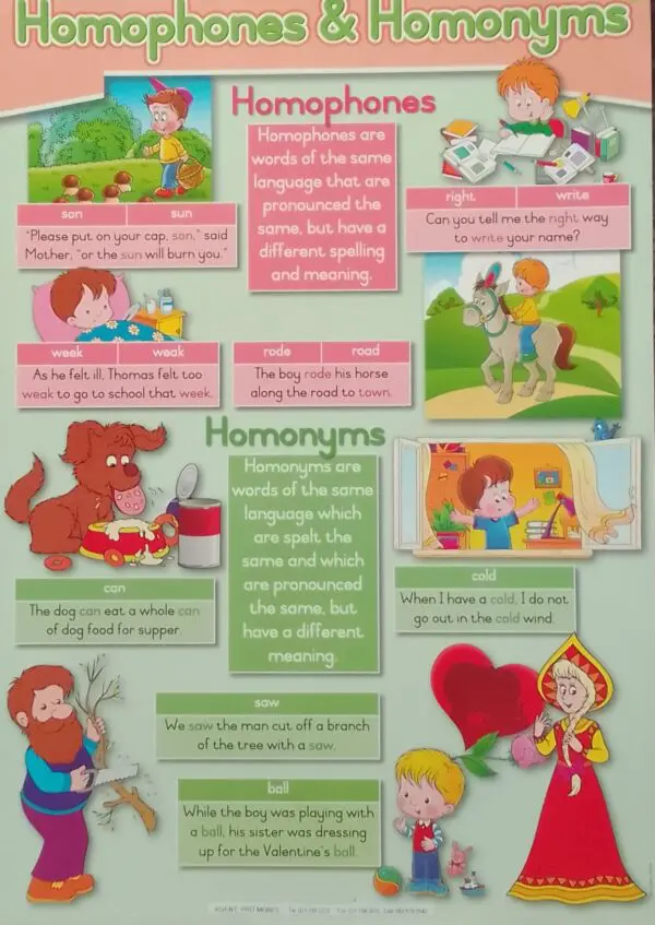 Homophones & Homonyms - Wall Chart - A1 Laminated