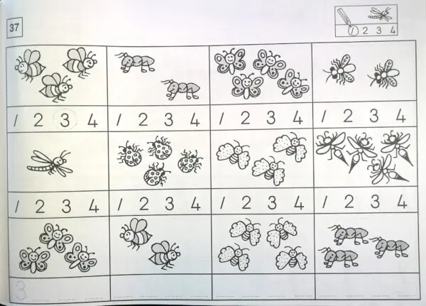 Bridging with a Smile - Learner Workbook - Image 3