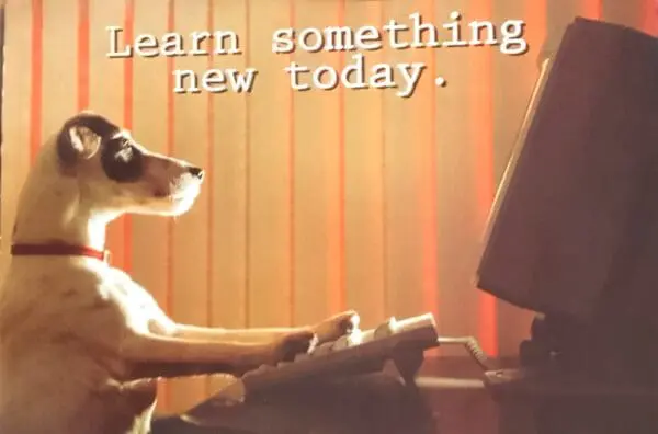Motivational Poster - Learn Something New Today