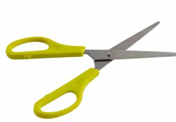 Scissors - Left Hand