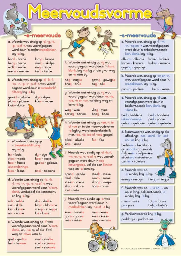 Meervoudsvorme - Afrikaans - Wall Chart - A1 Laminated