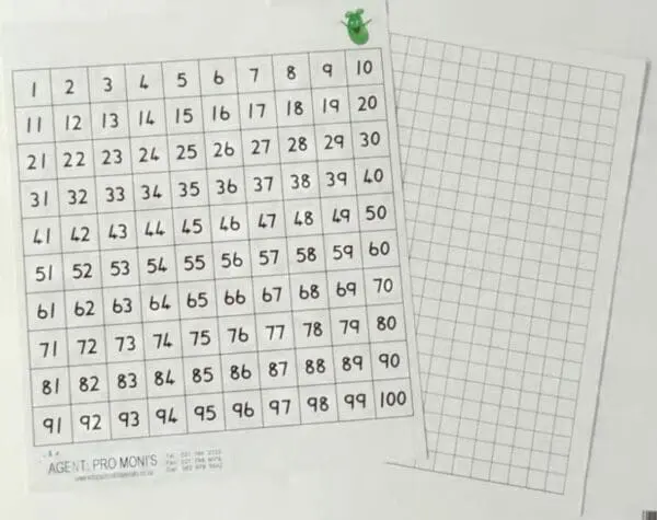 Number Board - Double Sided 1-100 - 10pc - Wipe Off Laminated 210mmx250mm