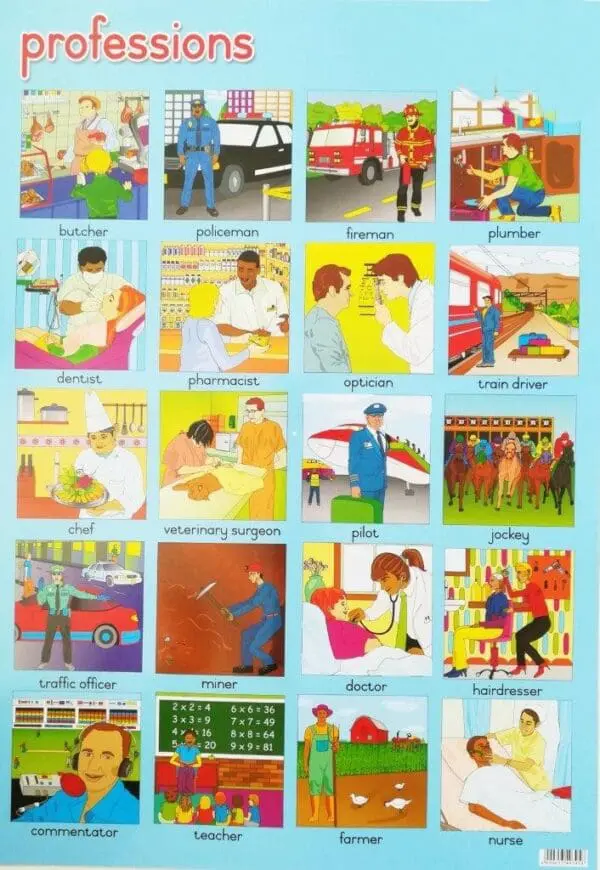 Professions - Wall Chart - Laminated (+- 480X680mm)