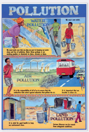 Pollution - Wall Chart - A1 Laminated