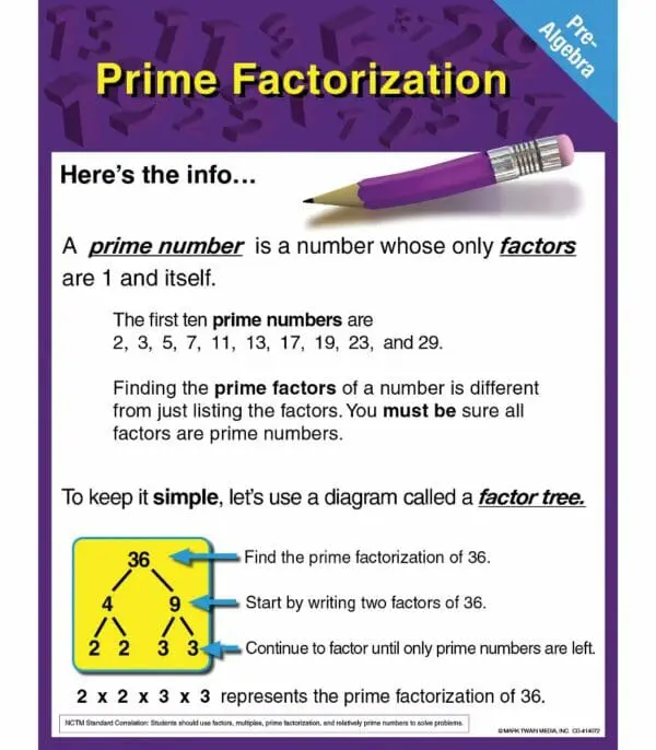 Prime Factorization - Wall Chart - +/-43x56cm