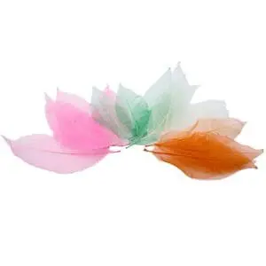 Skeleton Leaves 20pcs