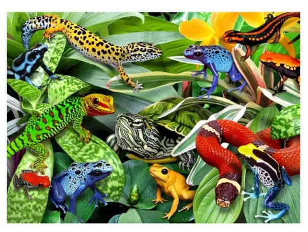 Wood Puzzle - Reptiles - 50pcs