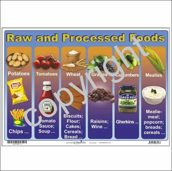 Raw & Processed Food - Wall Chart