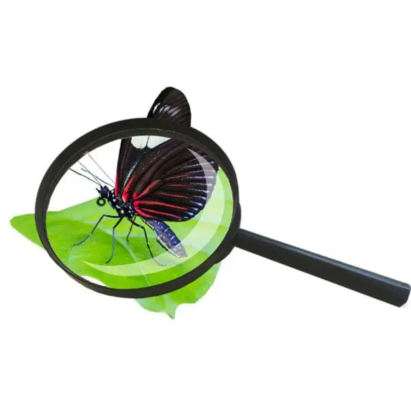 Magnifying Glasses - 75mm - Clearance Sale!!!!