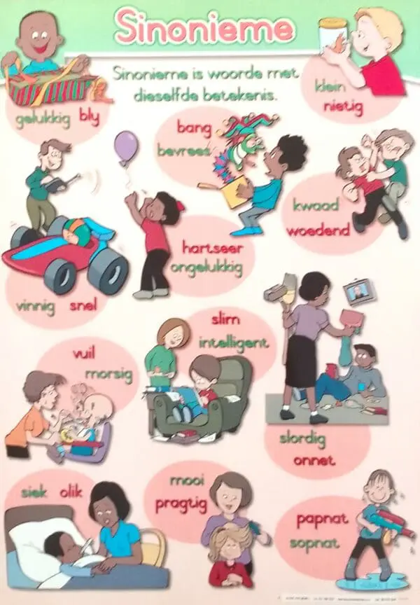 Sinonieme - Afrikaans - Wall Chart - A1 Laminated
