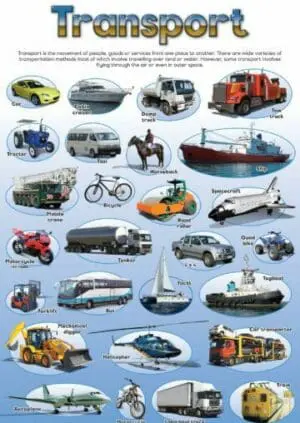 Transport - Wall Chart - Laminated 76cm x 52cm