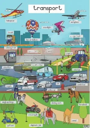 Transport - Wall Chart - Laminated (+-480X680mm) New