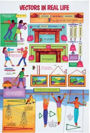 Vectors in Real Life - Wall Chart - A1 Laminated