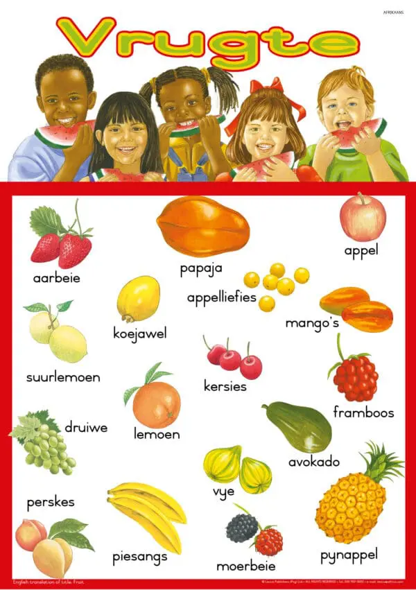 Vrugte - Afrikaans - Wall Chart - A1 Laminated