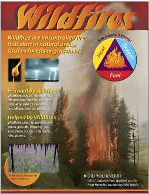 Wildfires Wall Chart