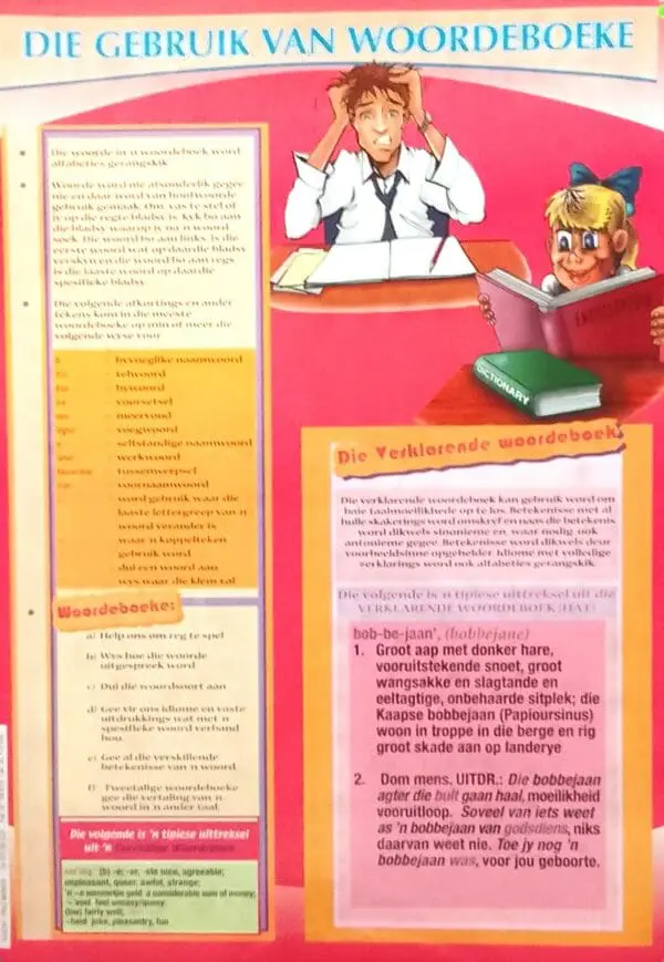 Die Gebruik van Woordeboeke - Wall Chart - A1 Laminated