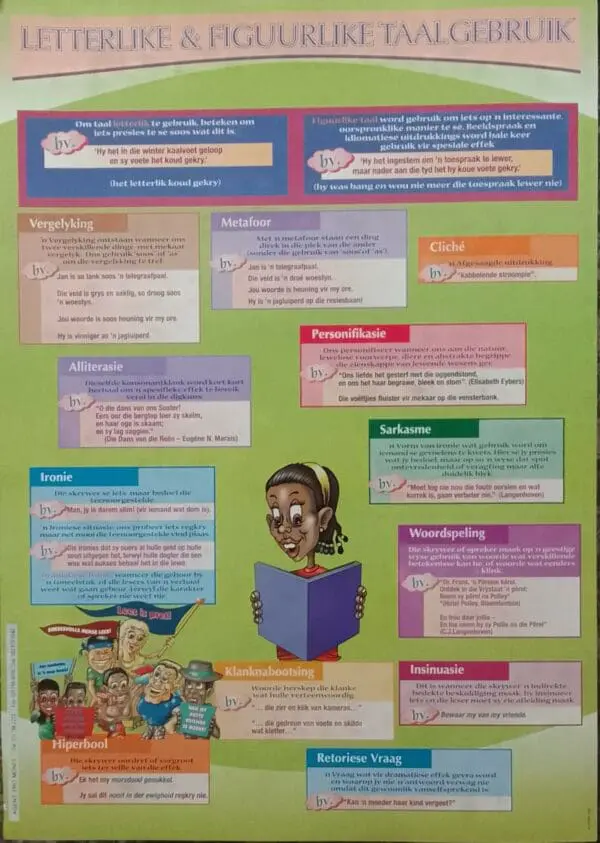 Letterlike & Figuurlike Taalgebruik - Wall Chart - A1 Laminated