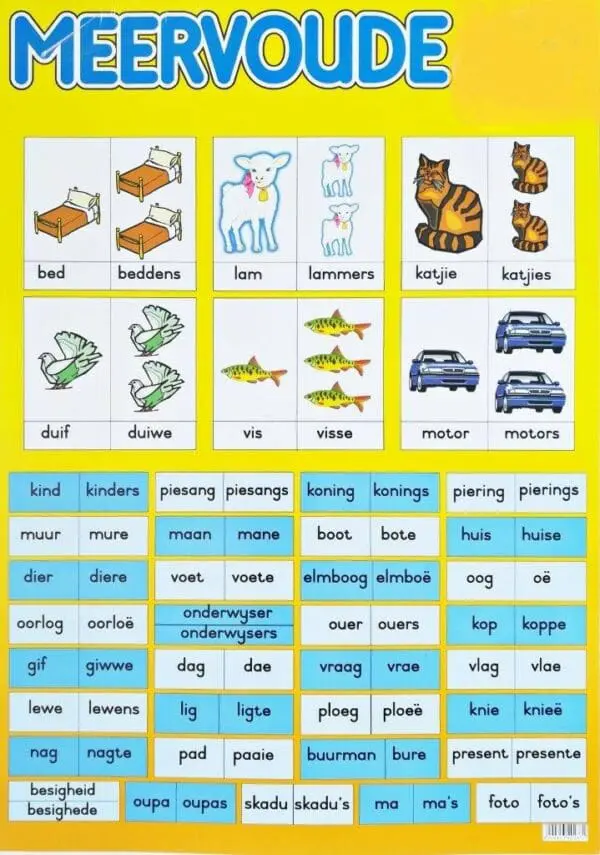 Meervoude - Afrikaans - Wall Chart - Laminated (+- 480X680mm)