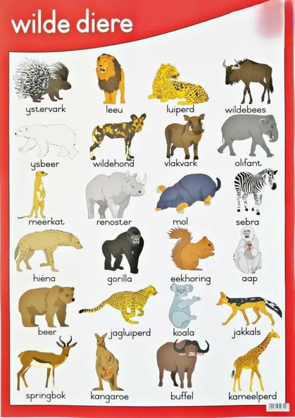Wilde Diere - Wall Chart - Laminated (+- 480X680mm)