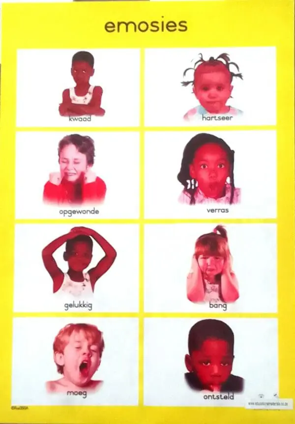 Emosies - Afrikaans - Wall Chart - Laminated A3