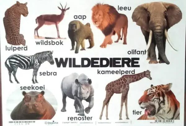 Wildediere - Wall Chart - Laminated (320mm x 455mm)
