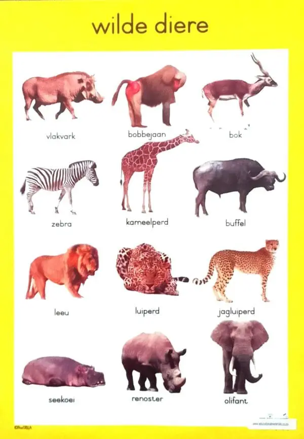Wilde Diere - Afrikaans - Wall Chart - Laminated A3