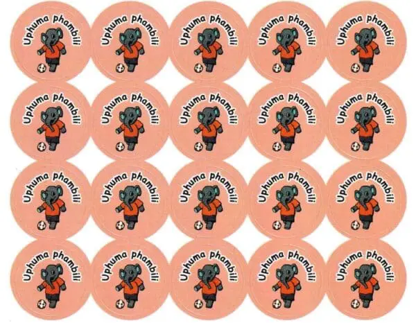Uphuma Phambile - You Are a Star - Zulu Stickers - 60pcs