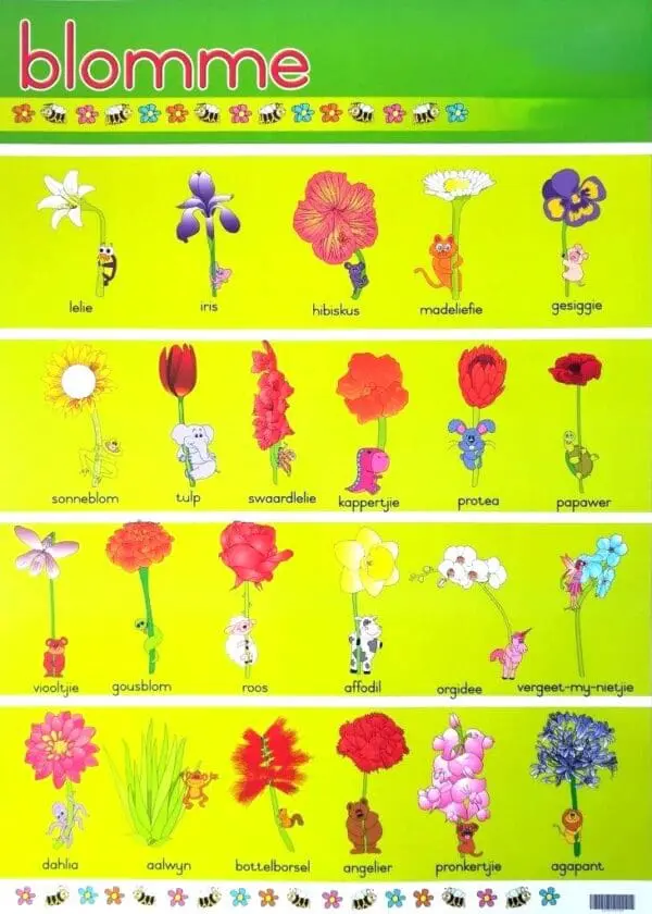 Blomme- Wall Chart - Laminated (+- 480X680mm)