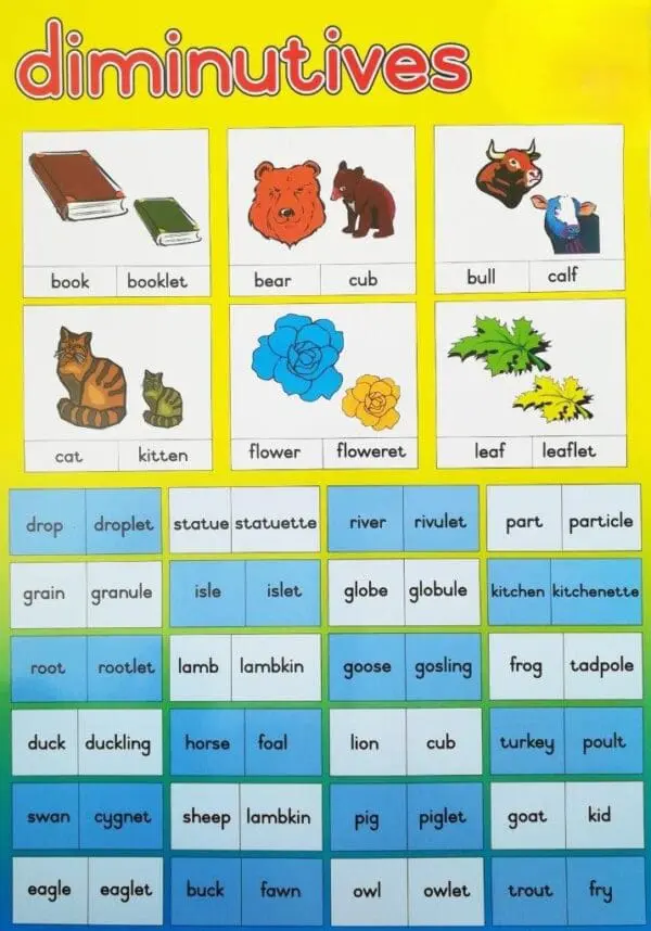 Diminutives - Wall Charts - Laminated (+- 480X680mm)