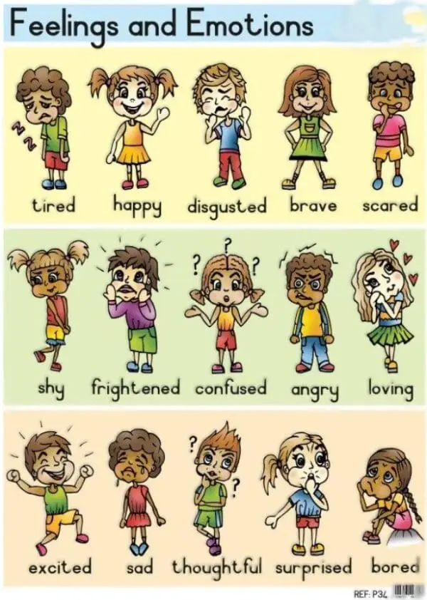 Feelings And Emotions - Wall Chart - Laminated - New